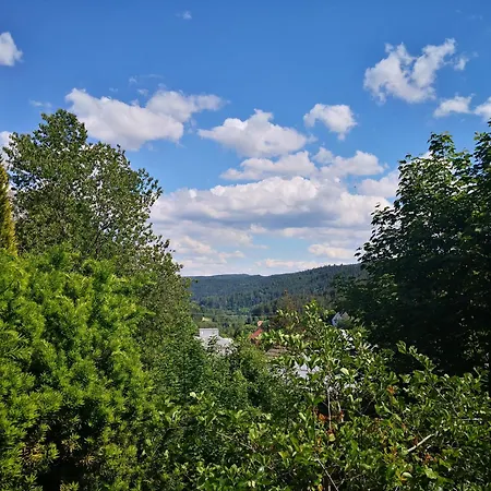 Mila Apartment Schonach im Schwarzwald